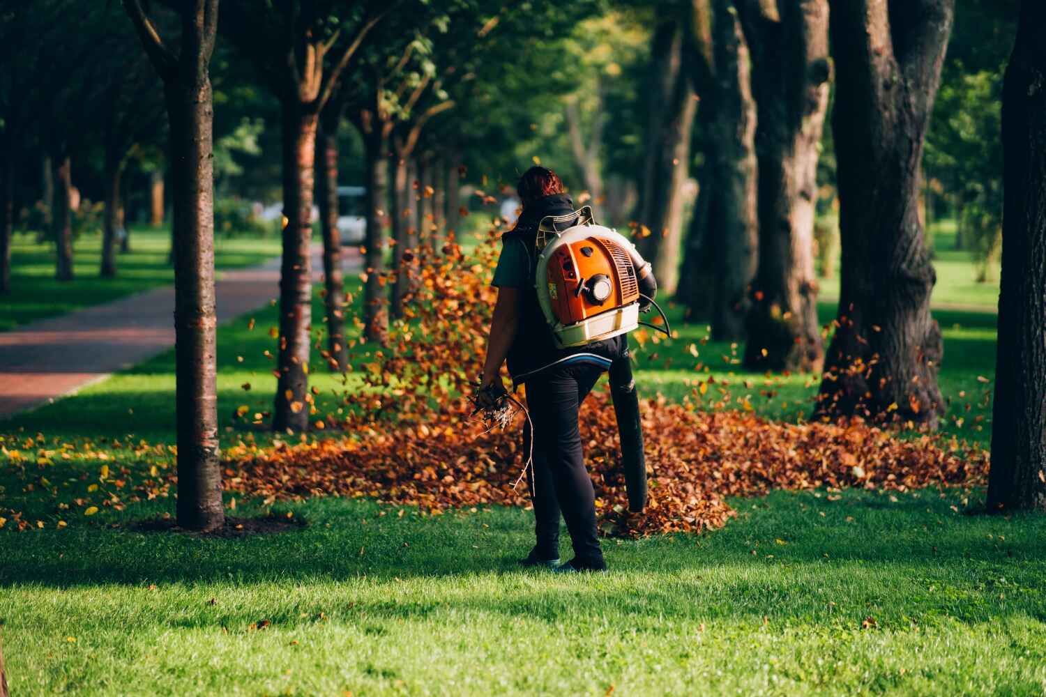 Best Professional Tree Care  in Punta Gorda, FL